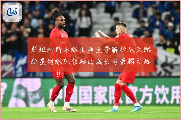 斯坦科斯冰球生涯全景解析从天赋新星到球队领袖的成长与荣耀之路：最新赛事动态与深度分析